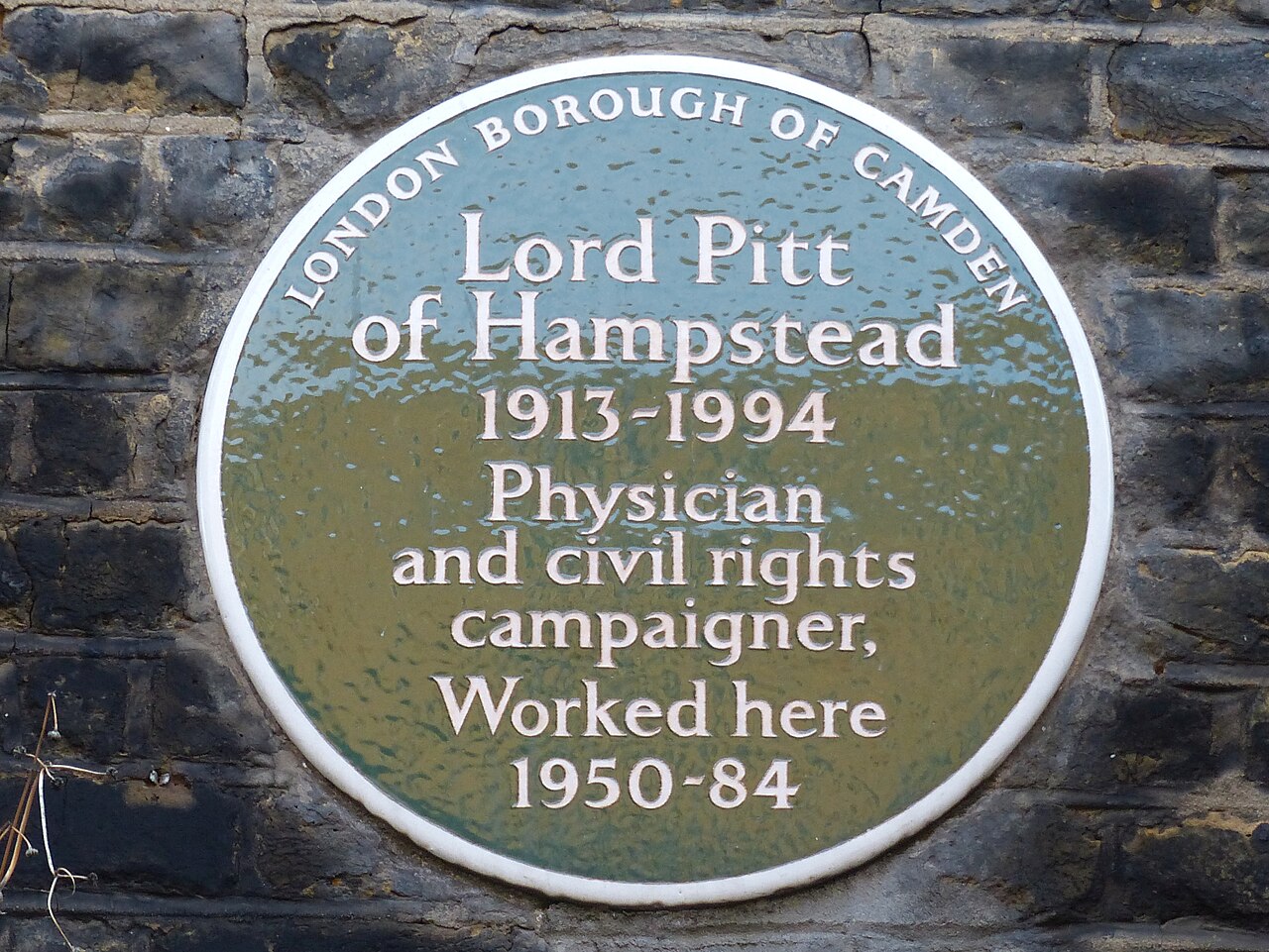 David Pitt: Medicine, Representation and the Politics of Equality