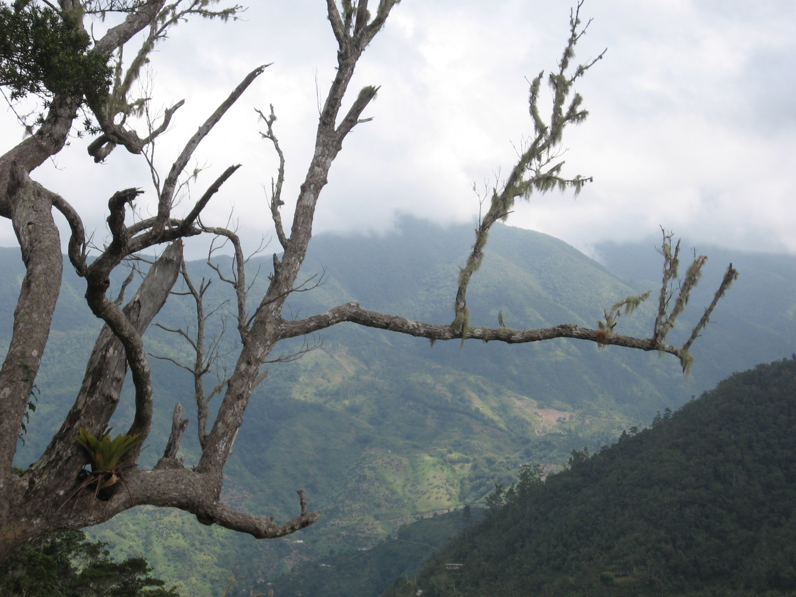 Jamaica’s Maroons: Nanny, Treaty Towns and the Work of Freedom
