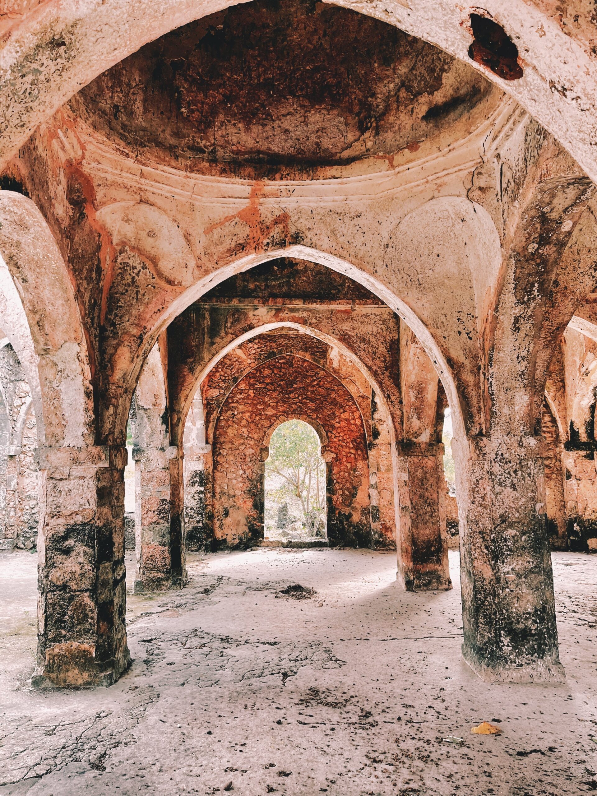Kilwa Kisiwani: An African City in the Indian Ocean World
