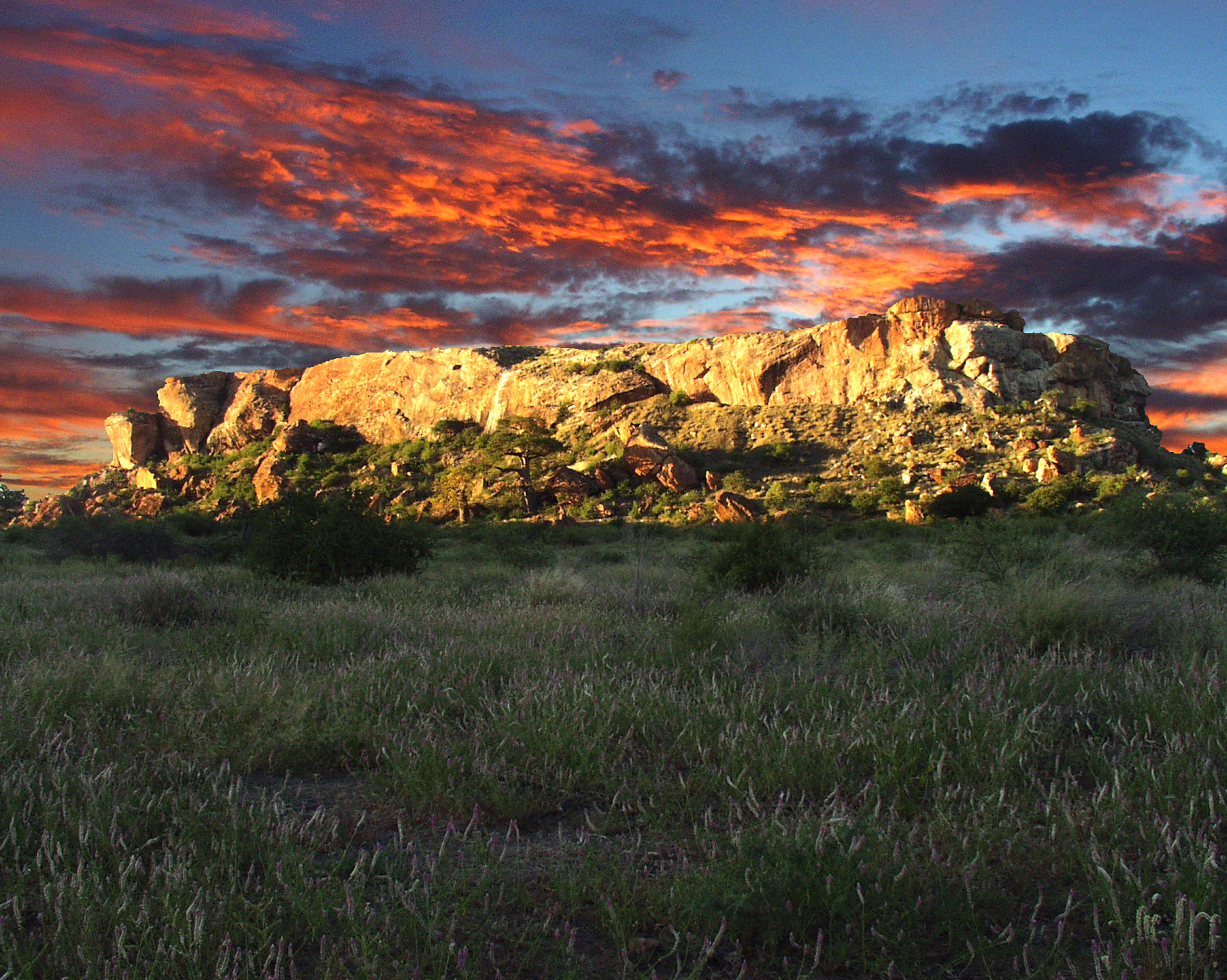 Mapungubwe: Farming, Gold and Power in Southern Africa