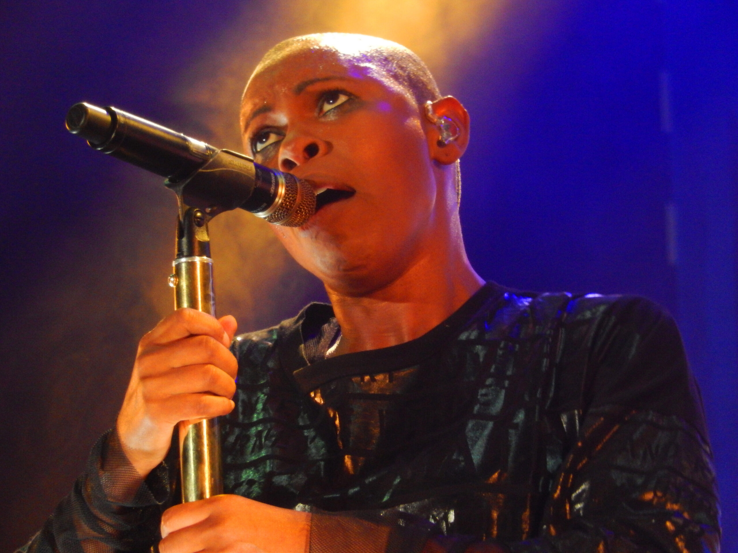 Skin: From Brixton to the Front of British Rock