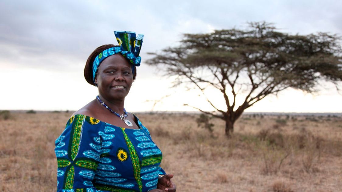 Wangari Maathai: Trees, Women’s Work and the Struggle for Democracy