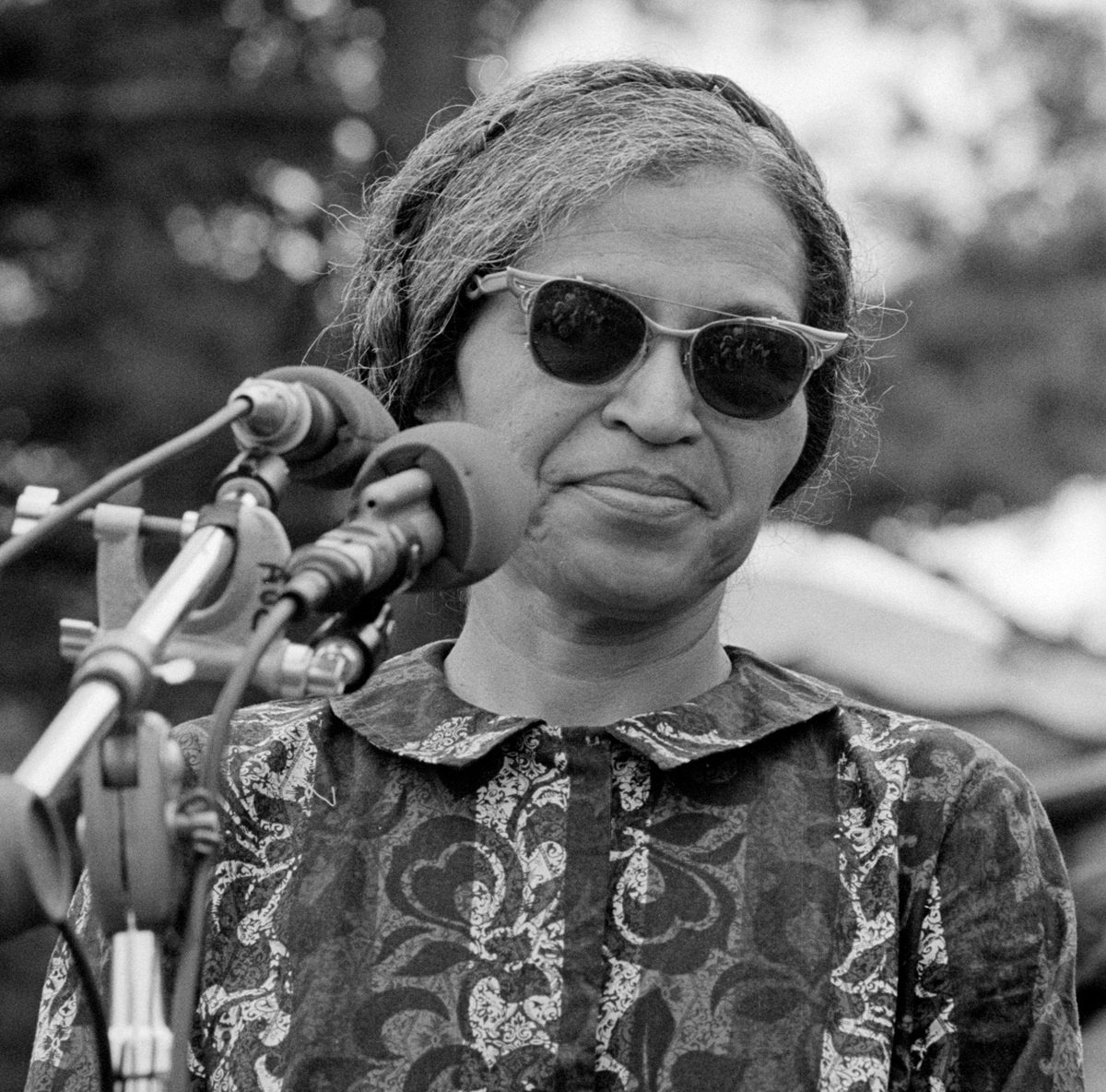 Rosa Parks: A Lifetime of Organising