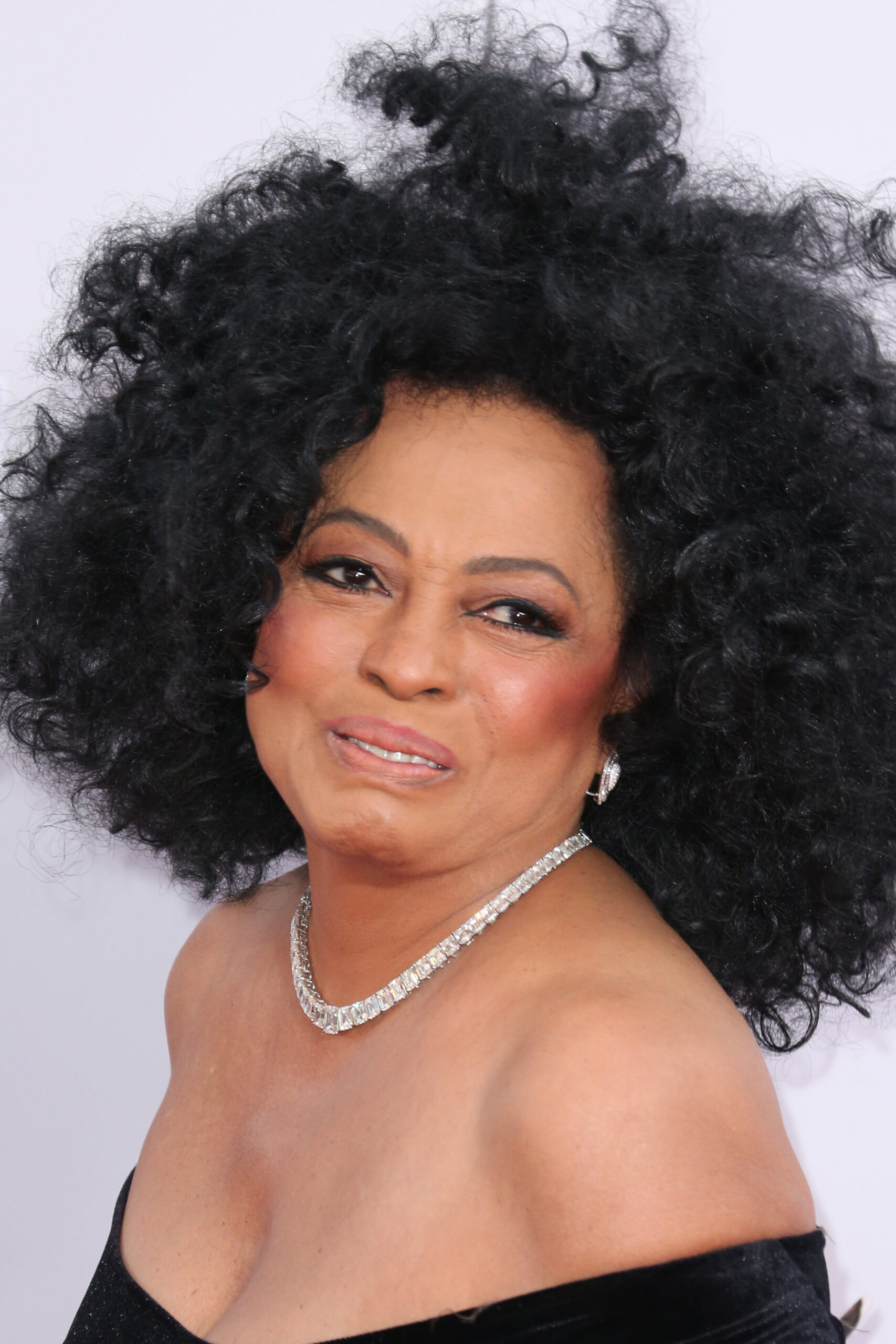 Diana Ross: From the Supremes to Global Stardom